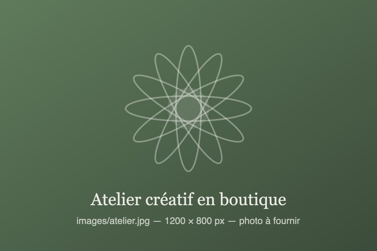 Atelier floral à Pons : des participants composent leurs plantes grasses dans la boutique