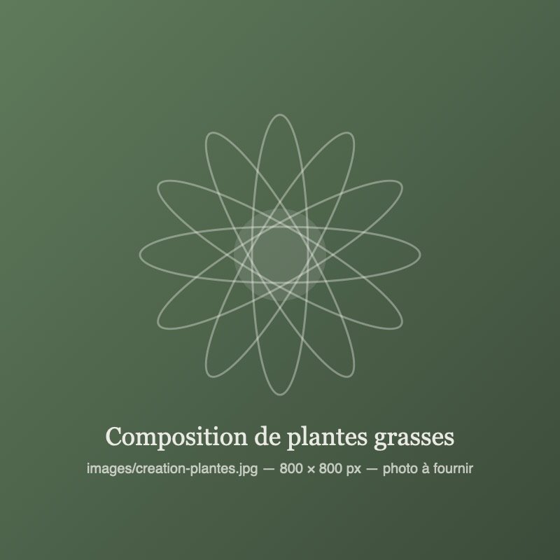 Composition de plantes grasses dans un contenant en céramique